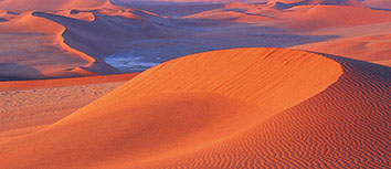 欧预赛比赛细节揭秘，球员风采动人